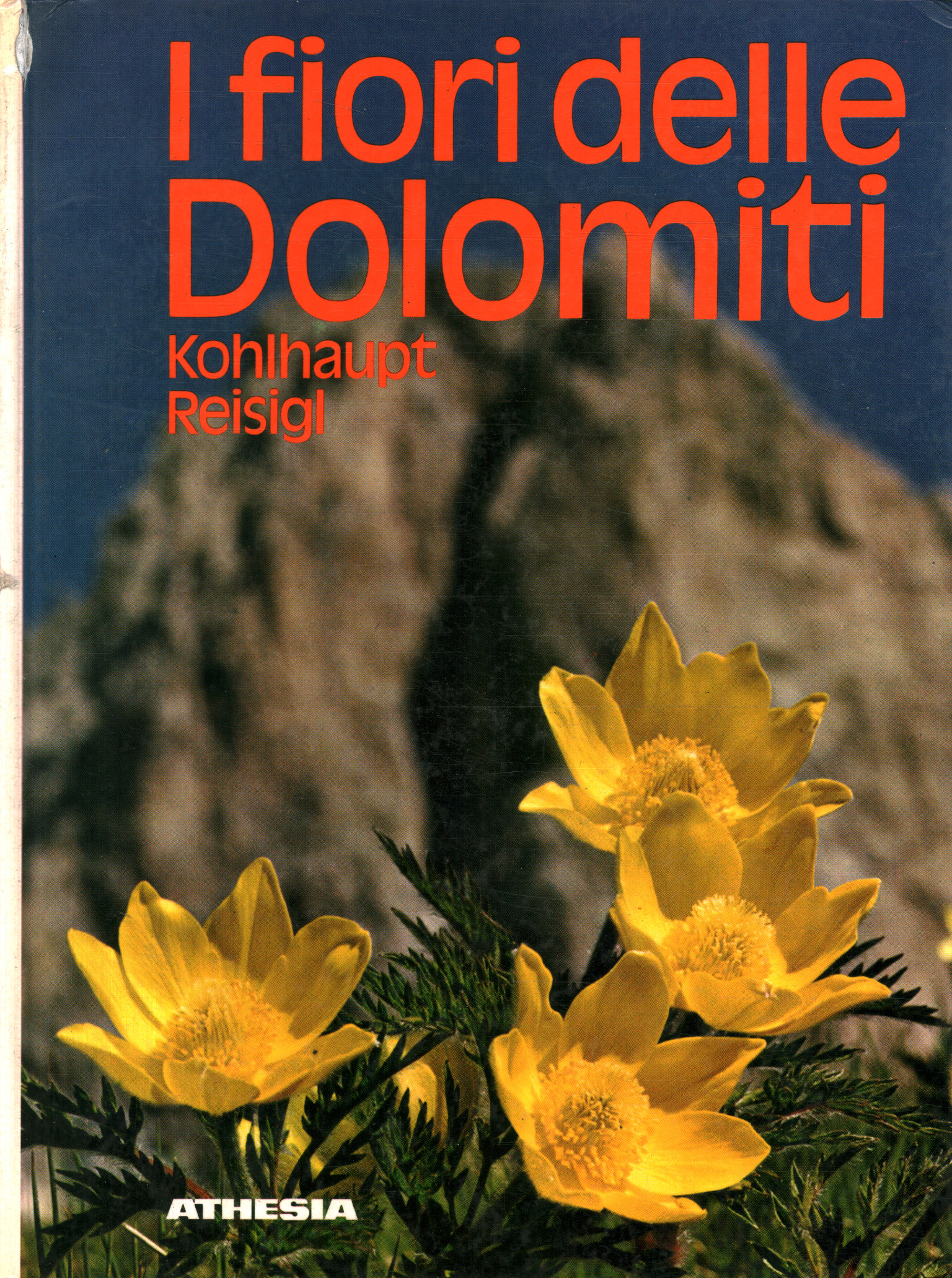 The flowers of the Dolomites