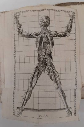 Anatomische Strukturbelichtung%,Anatomische Strukturbelichtung%,Anatomische Strukturbelichtung%,Anatomische Strukturbelichtung%