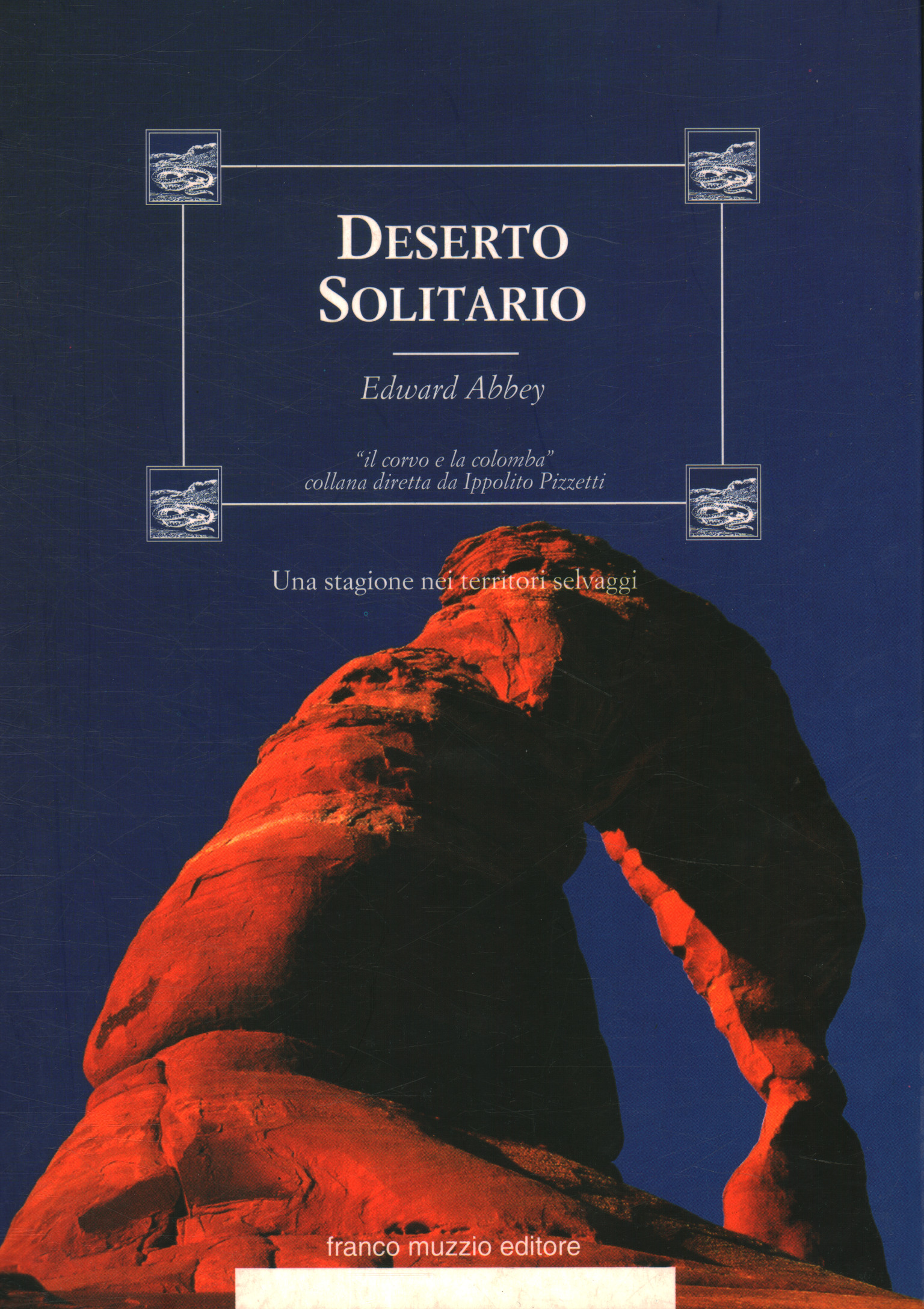 desierto solitario