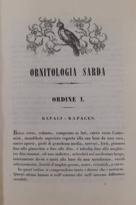 Liste des oiseaux trouvés dans la région