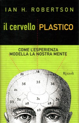 Il cervello plastico