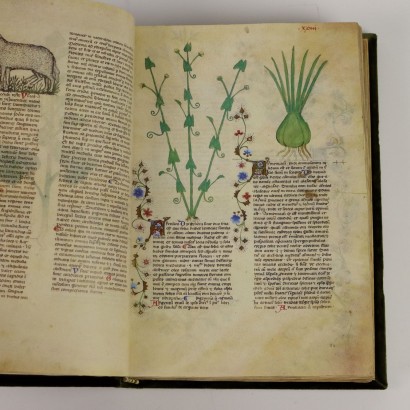 Biblioteca Historia Plantarum Casanatense