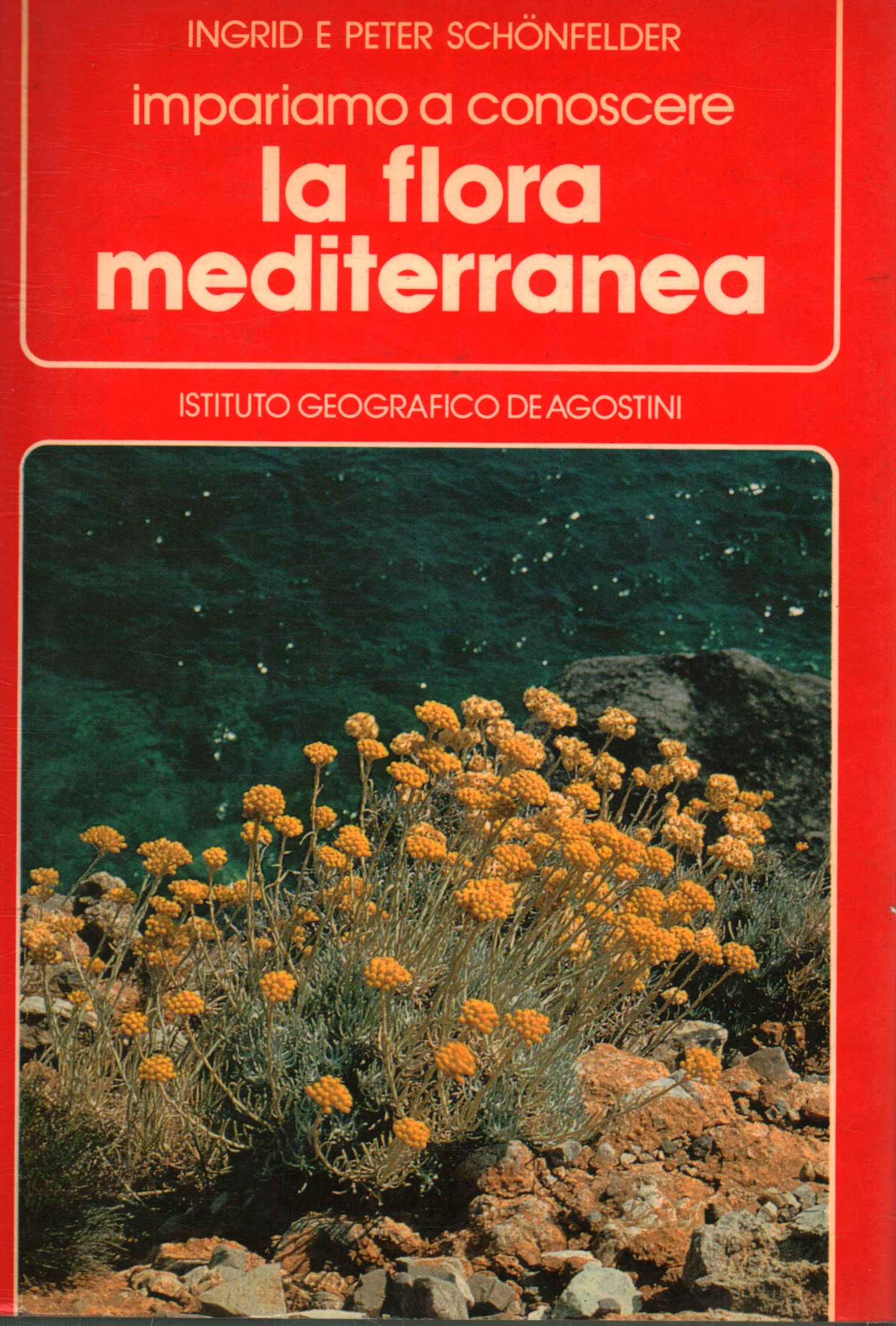 La flora mediterránea