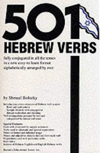 501 hebrew verbs