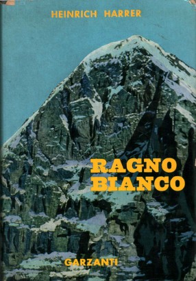 Ragno bianco