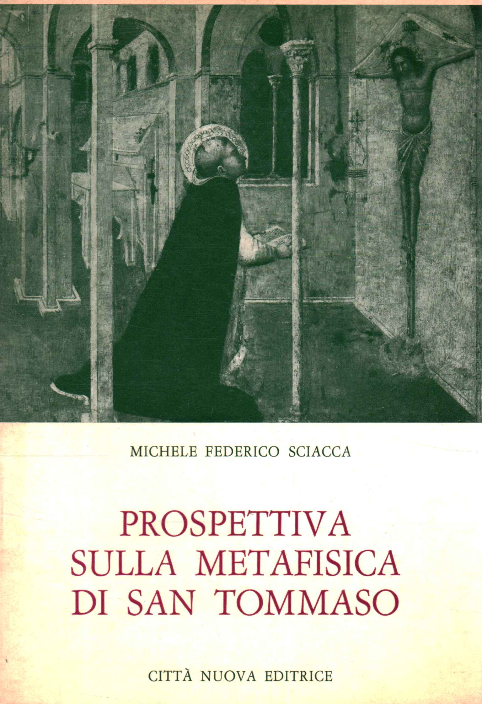 Perspectiva sobre la metafísica de Santo Tomás