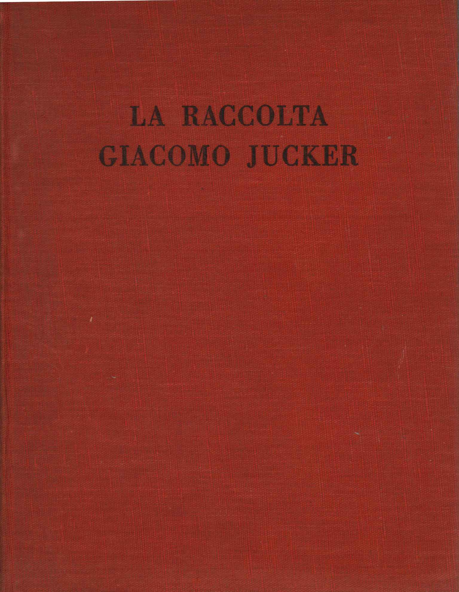 La raccolta Giacomo Jucker