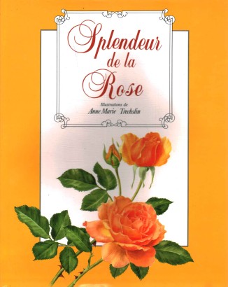 Splendeur de la rose