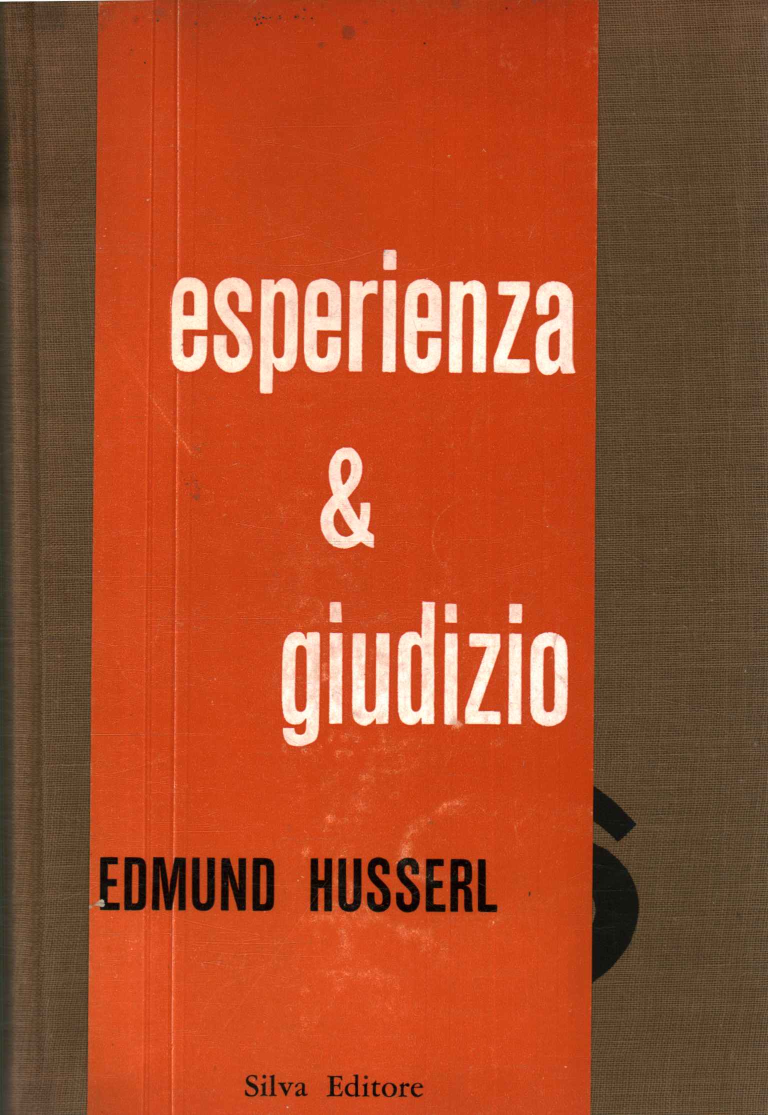 Esperienza e giudizio