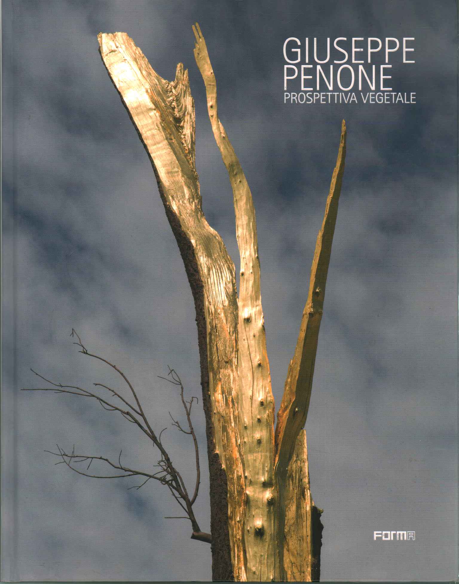 Giuseppe Penone. Vegetal Perspective