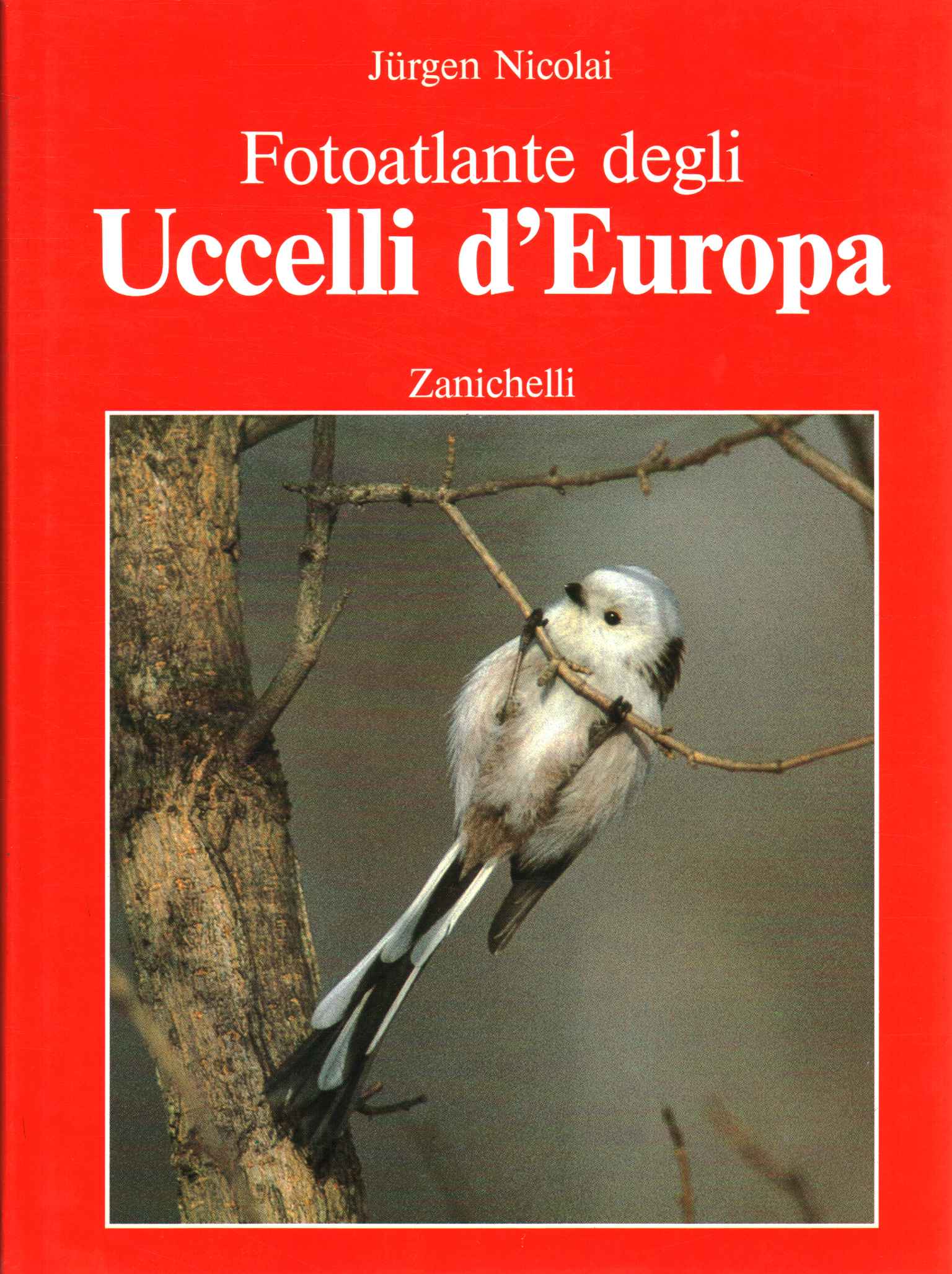 Photoatlas des oiseaux d'Europe