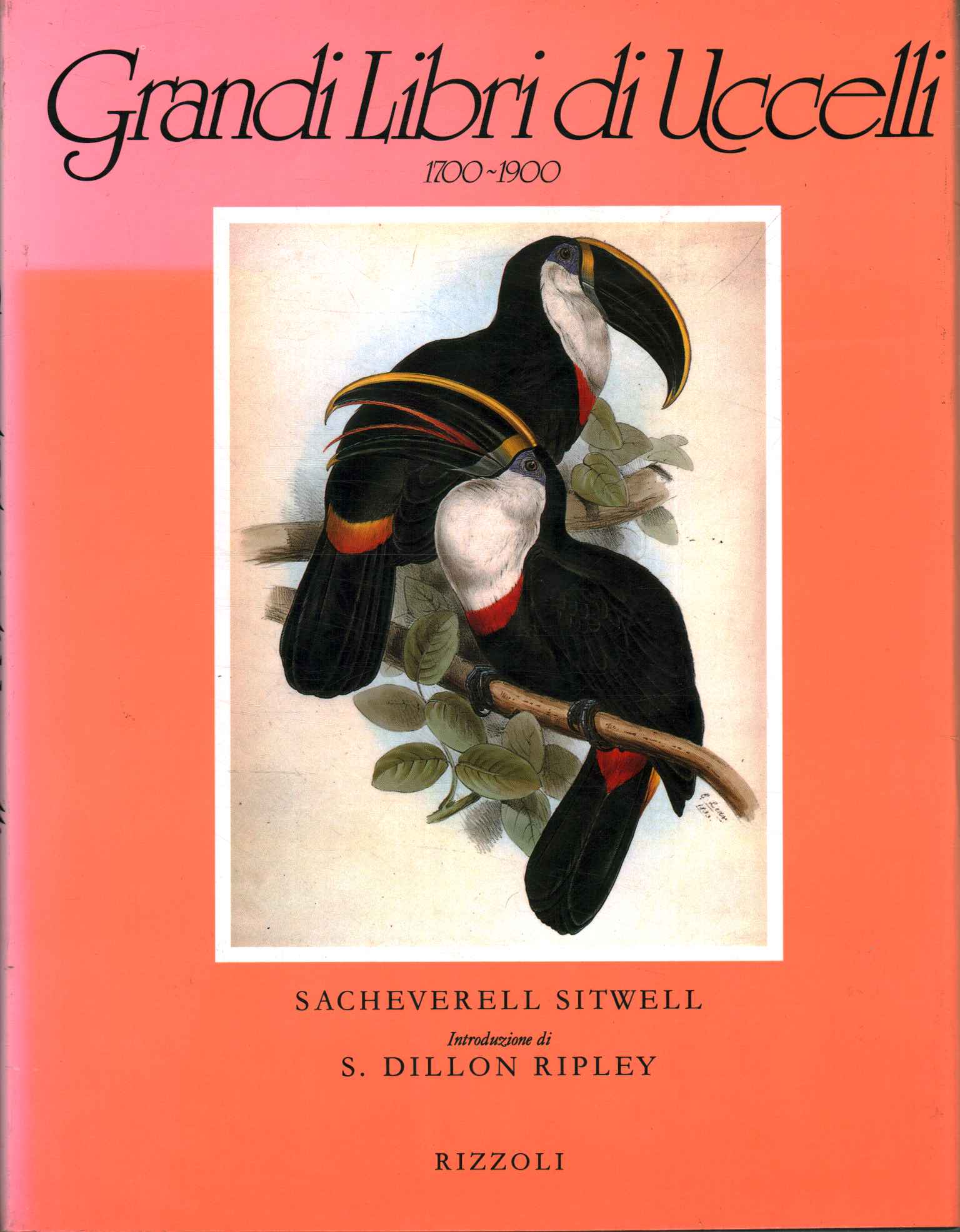 Grandi Libri di uccelli