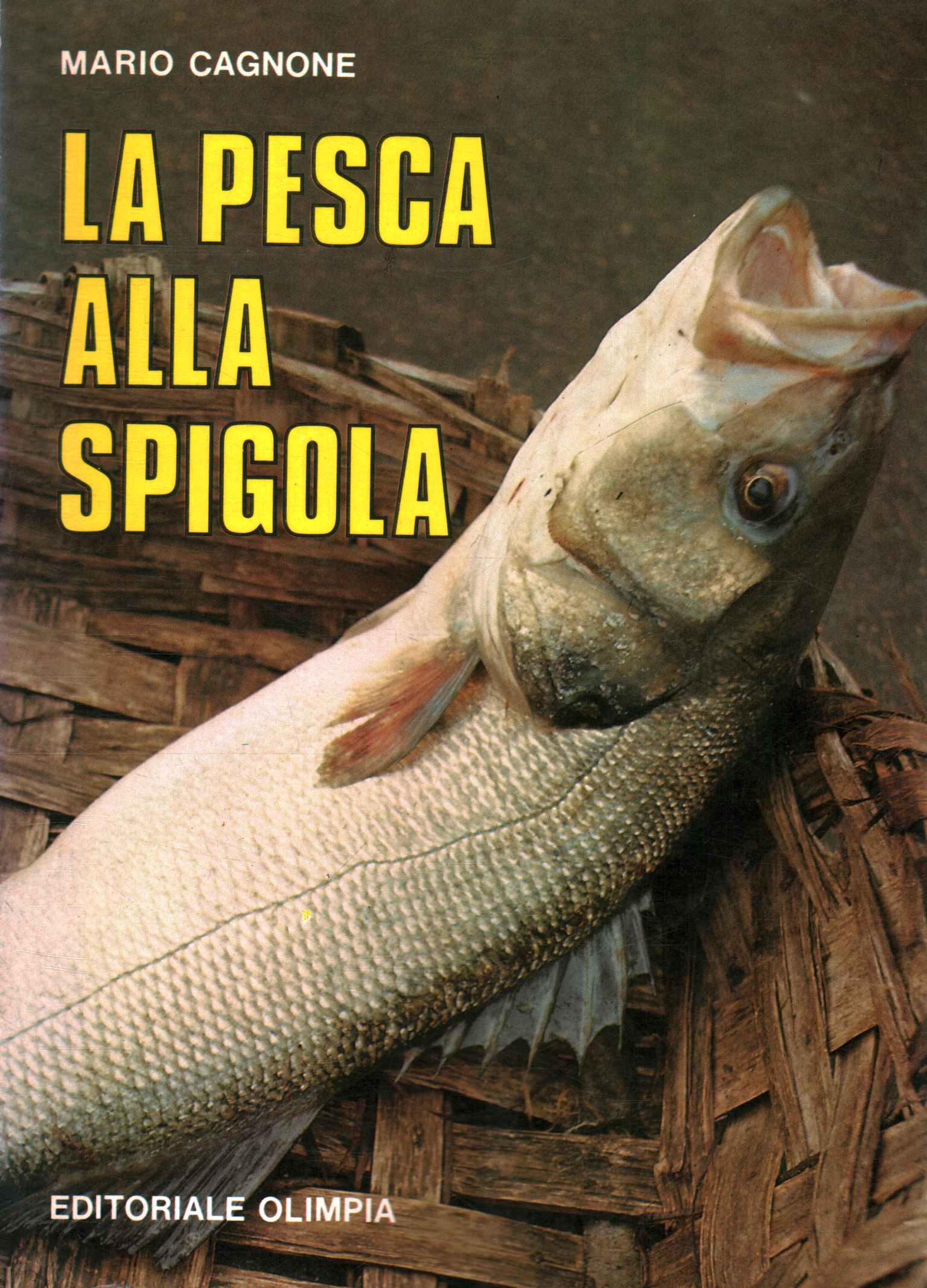 pesca de lubina