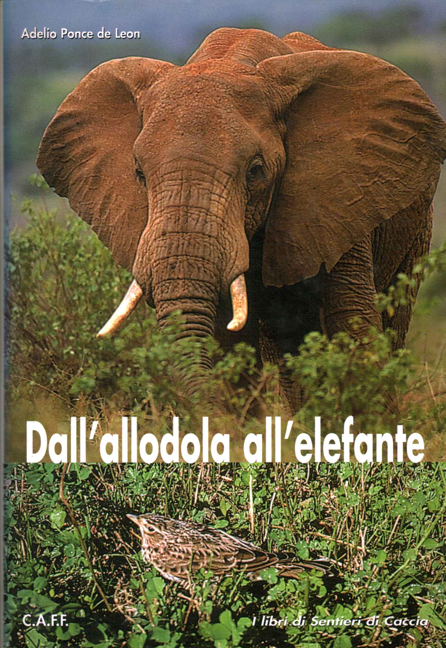 De la alondra al elefante