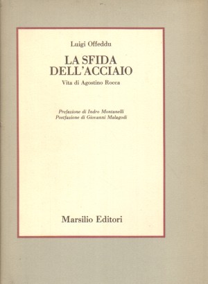 La sfida dell'acciaio