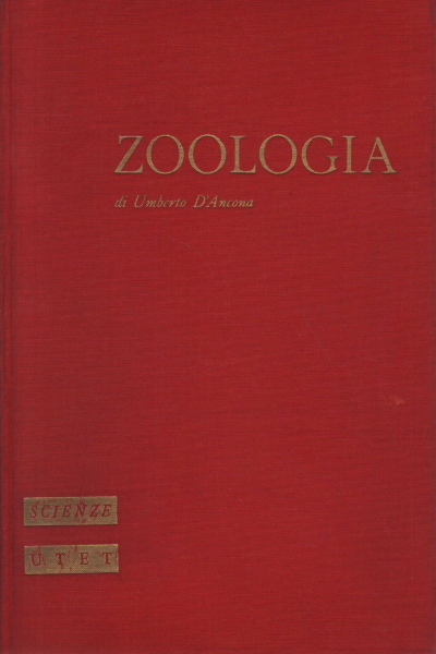 Abhandlung über Zoologie, Umberto D'Ancona