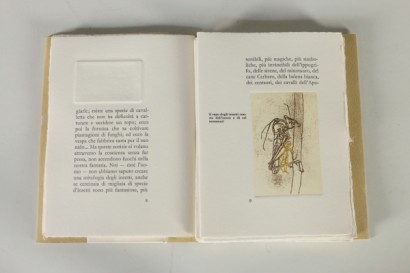 Insectarium, Giovanni Arpino Sergio Saroni
