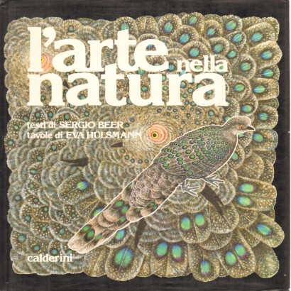 L'Arte nella Natura