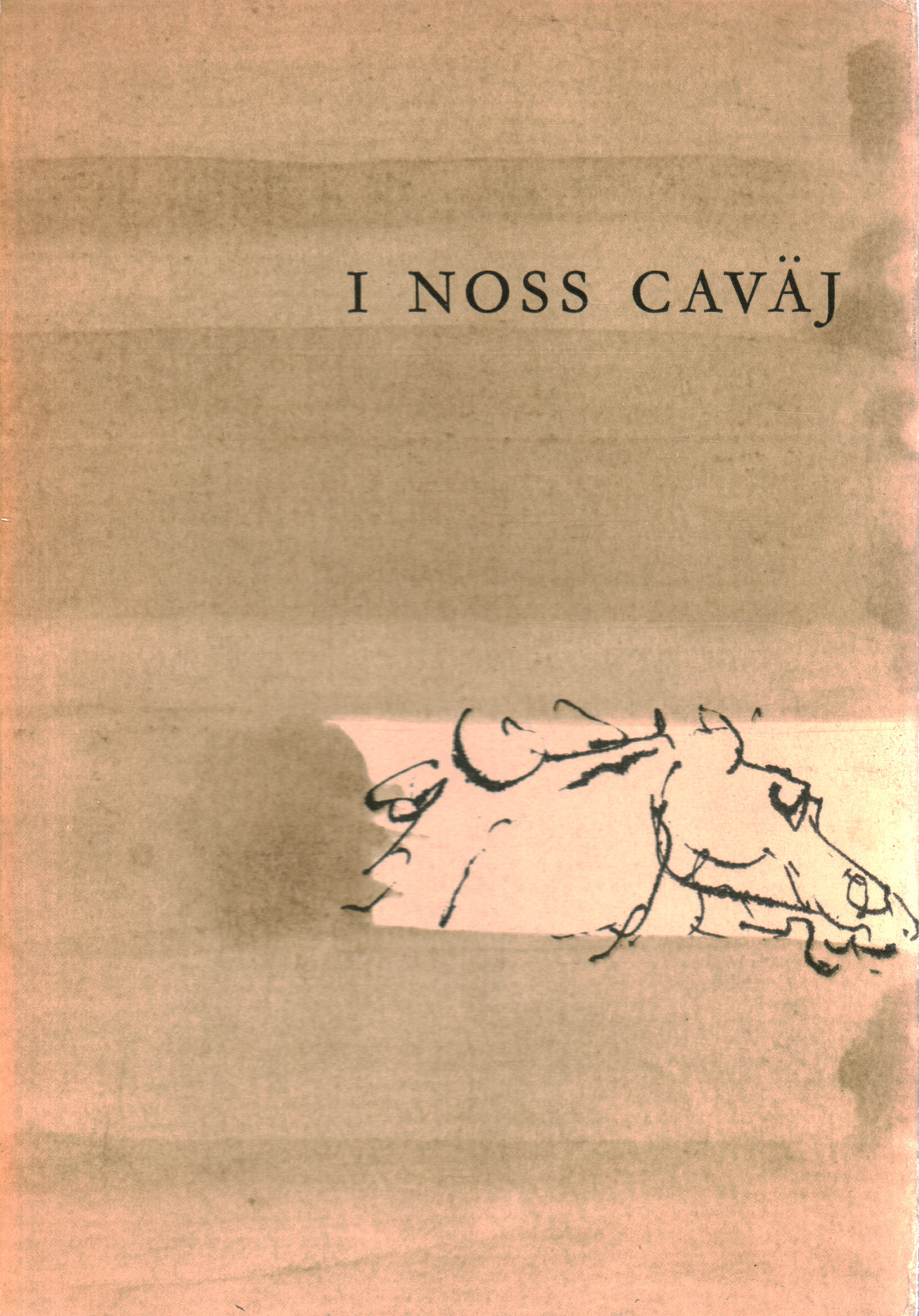 La noss caväj, s.una.