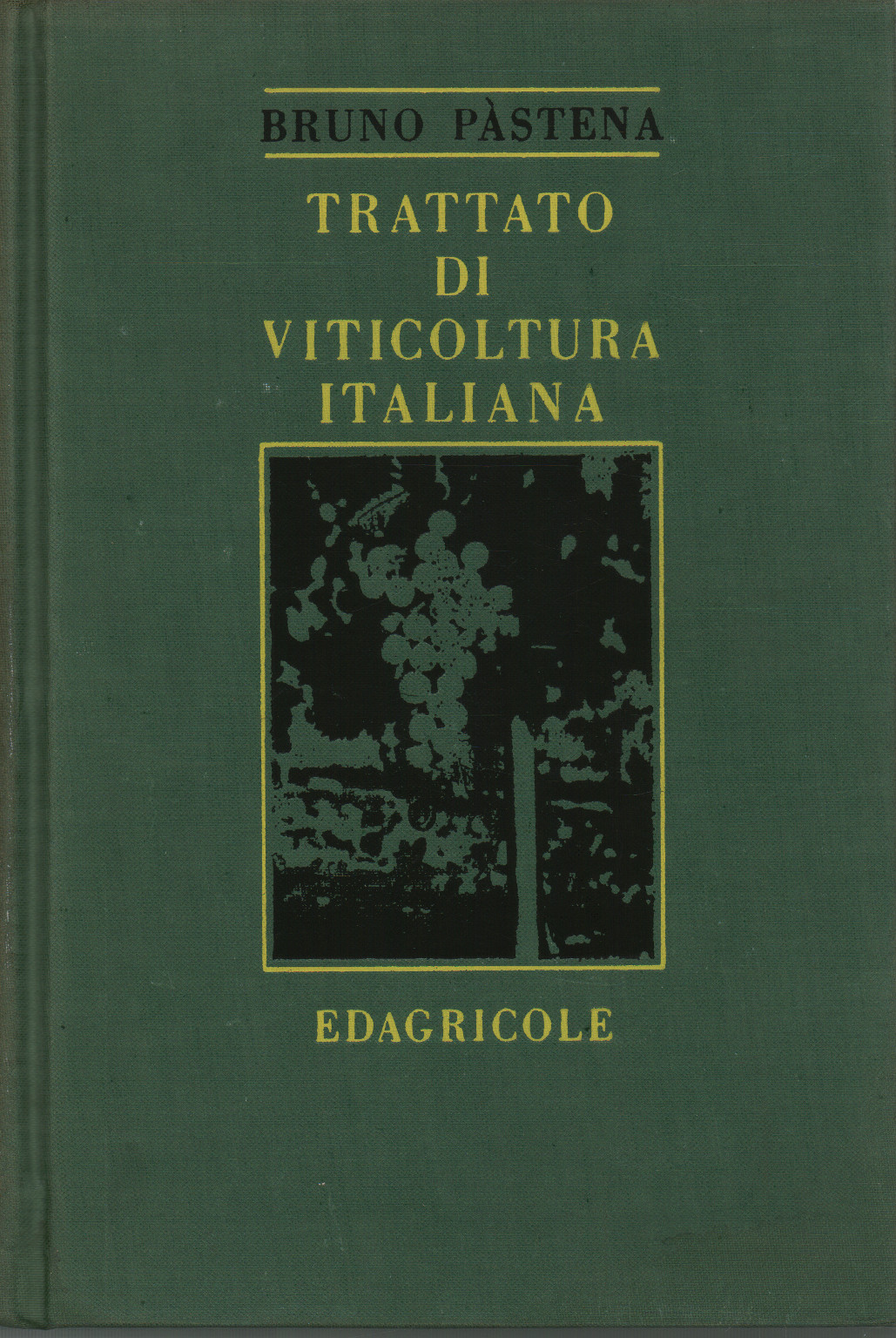 Treatise on Italian viticulture, s.a.