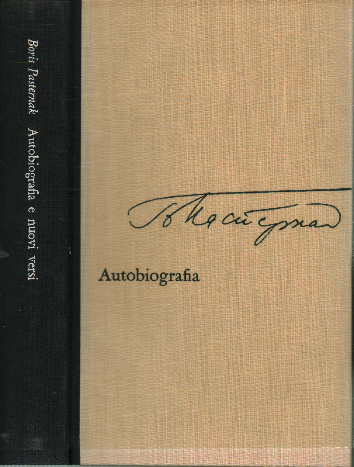 Autobiografie e nuovi versi