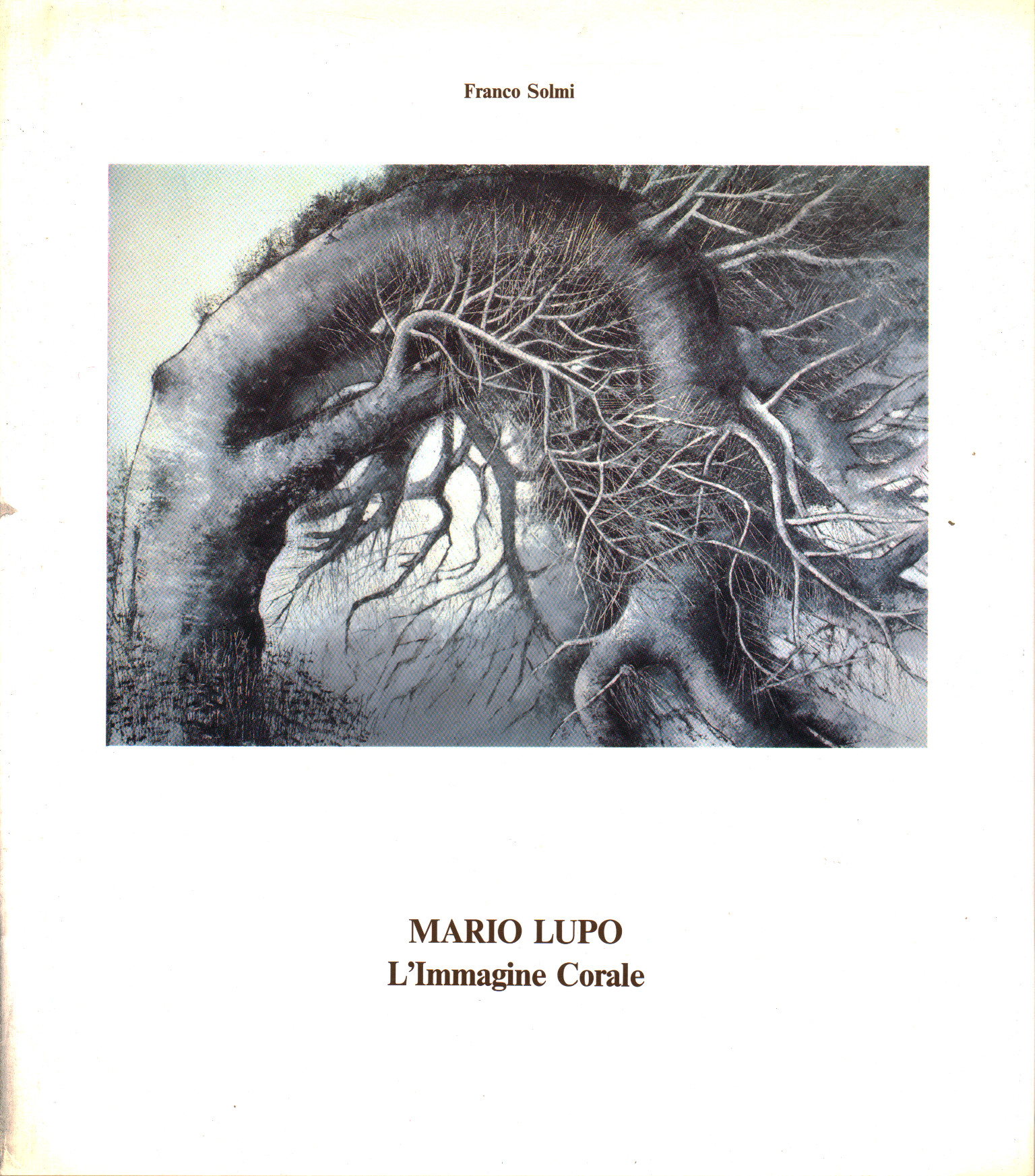 Mario Lupo - L'image chorale%