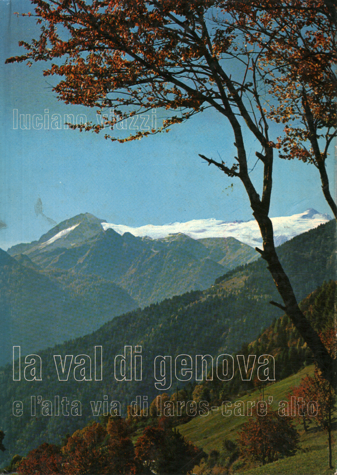 La val di Genova e l'alta v