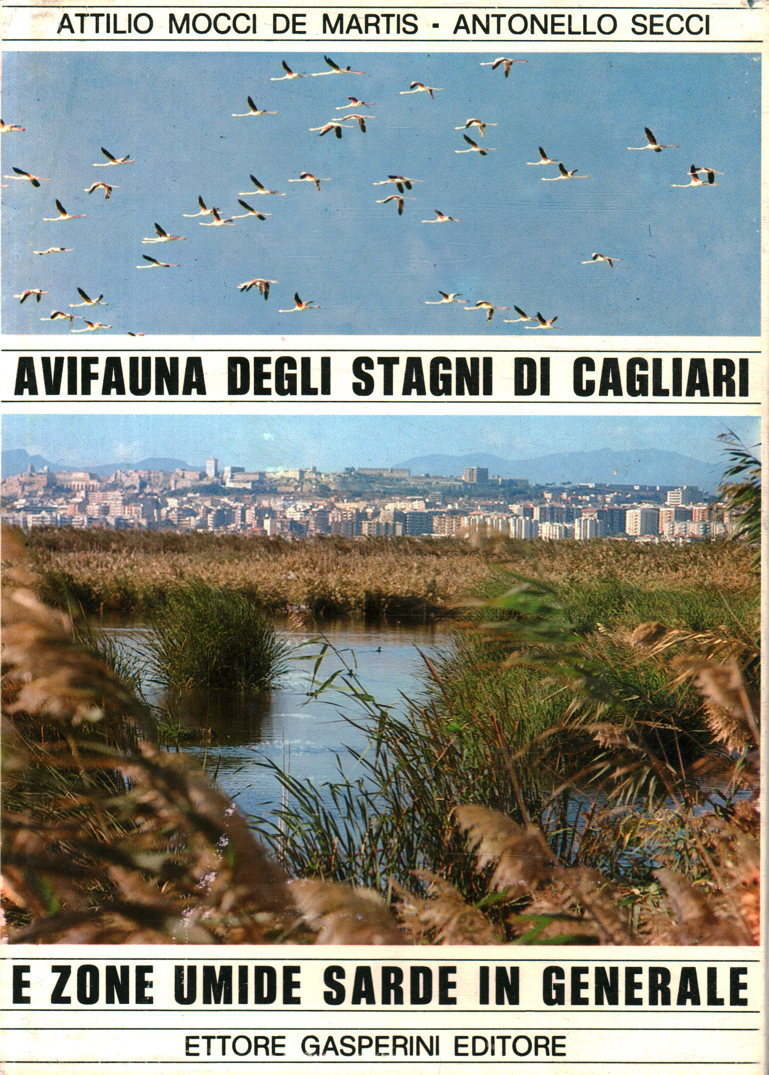 Avifauna of the ponds of Cagliari and zo