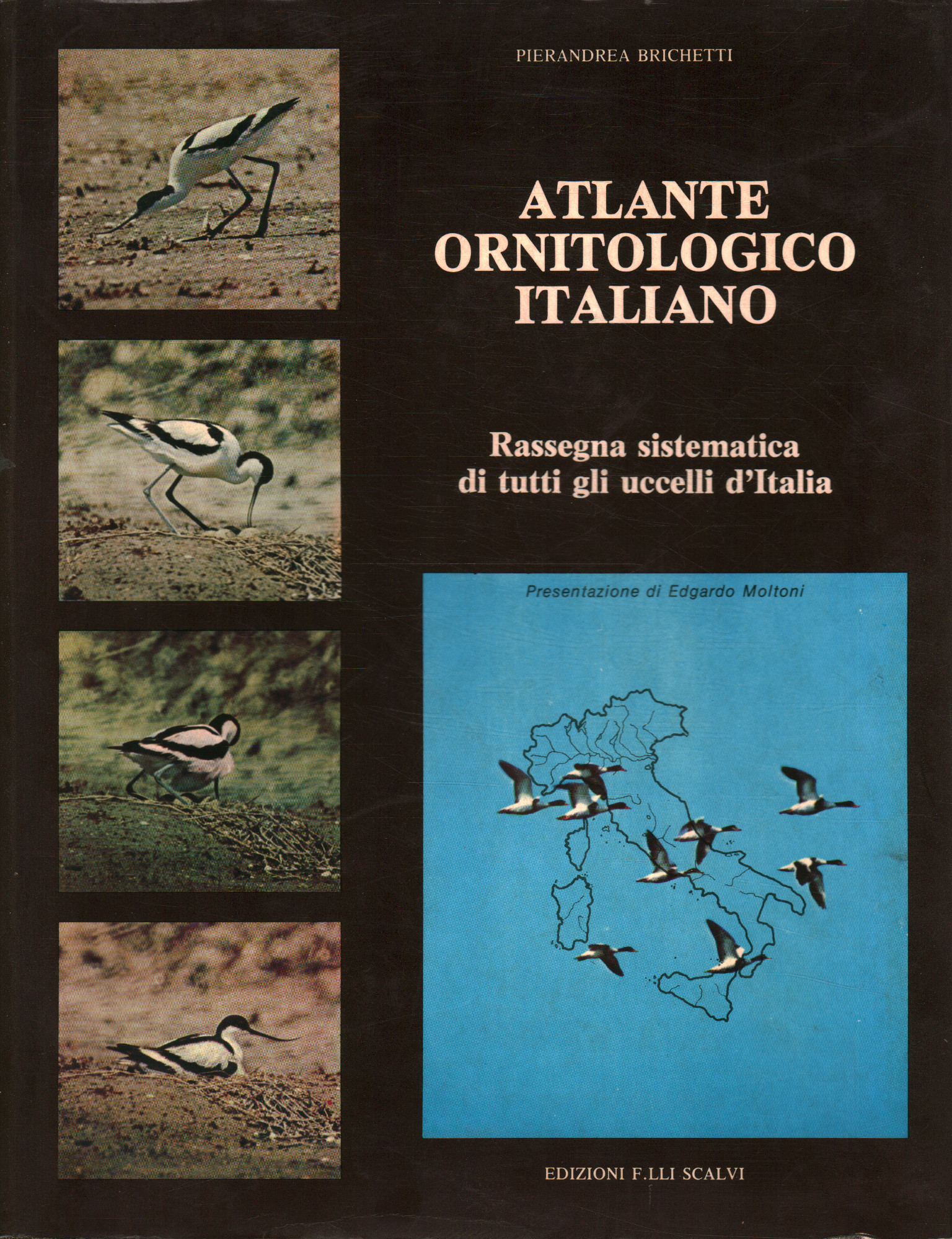 Volume II, Atlas ornithologique italien (Volume II)