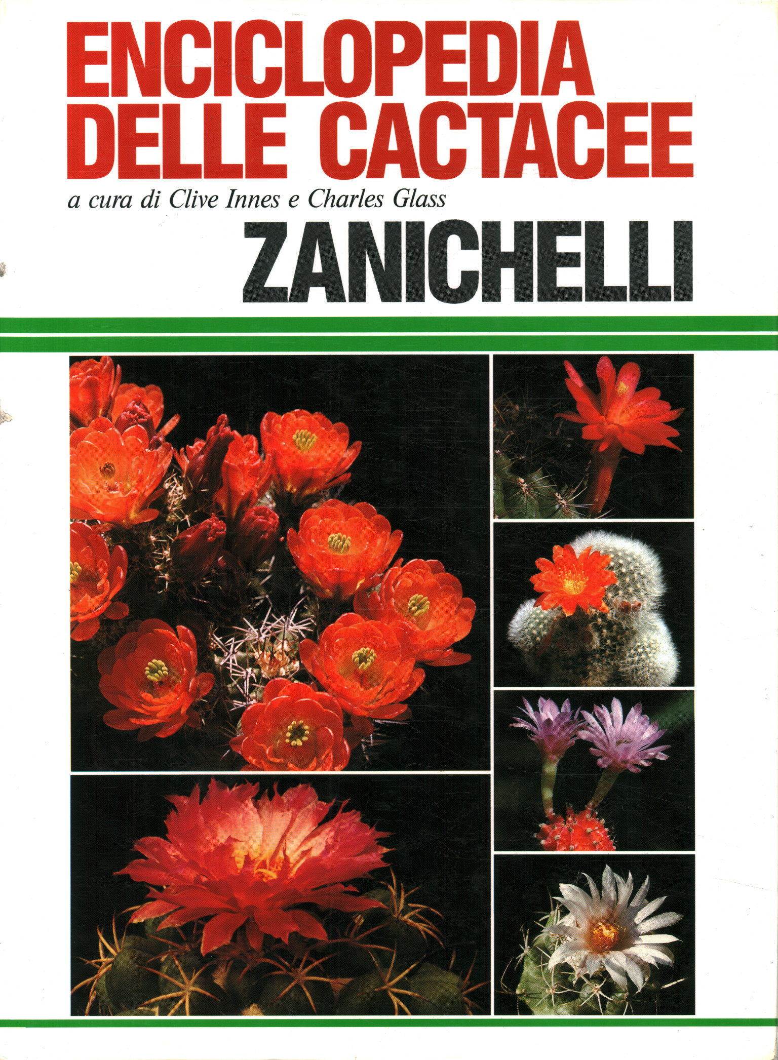 Enciclopedia delle cactacee