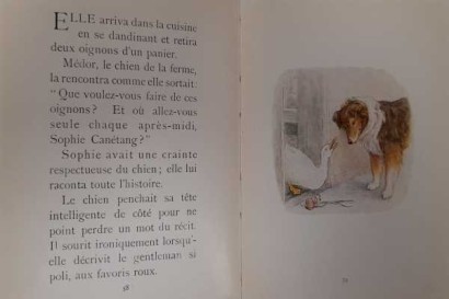 Histoire de Sophie Canétang