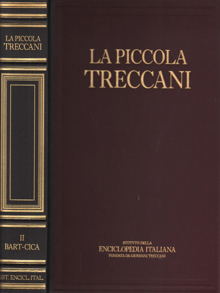 libro la piccola treccani